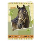 Školní sešit A4 - 444