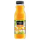 Cappy Multivitamin ovocný nápoj 330ml