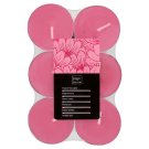 F&F Home Čajová svíčka tropical 12 ks