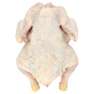 České kuře bez drobů volné